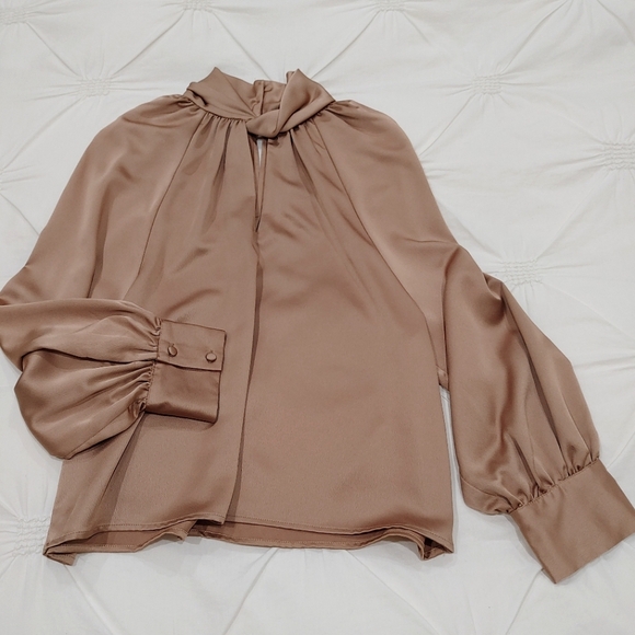 Zara satin champagne bronze long sleeve blouse with buttons. Size S - Picture 3 of 11